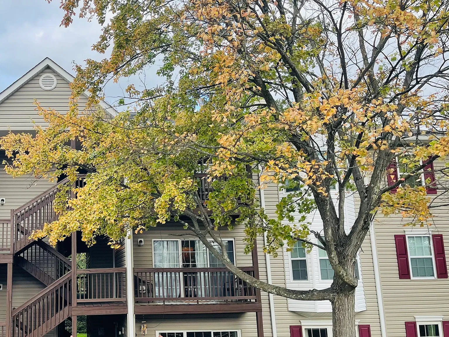 114 Timberlake Ter — Photo 2