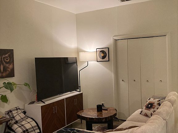 LIvingroom with storage closet