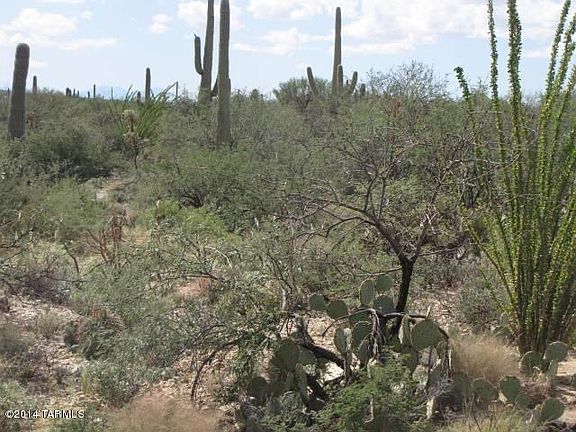 4th image of 14055 E Camino Cartamo