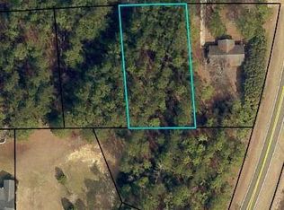 220 Camelia Dr, Sylvania, GA 30467