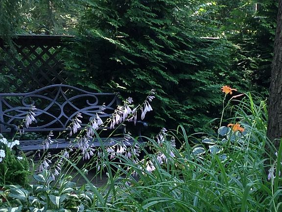 …something always in bloom!