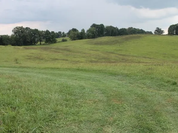 TRACT 10 Limestone Dr, Meadowview, VA 24361