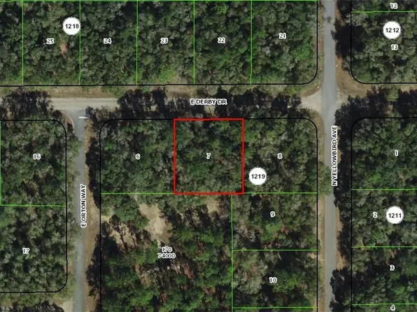 1823 E Derby Dr, Citrus Springs, FL 34434