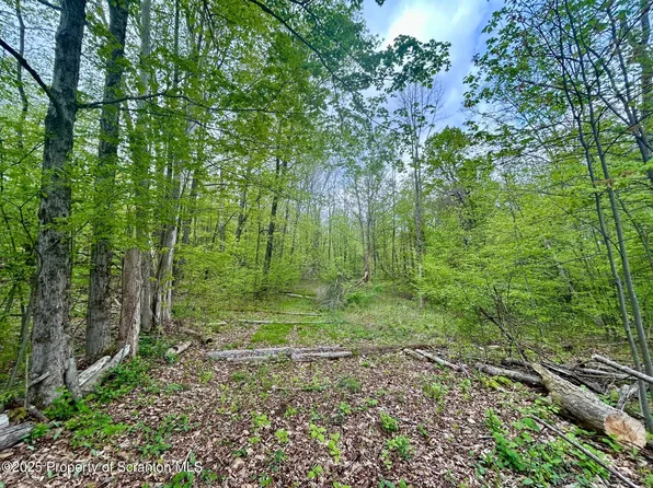 0 Maile Rd, Carbondale, PA 18407