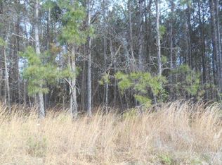 459 Old Jones Rd, Whitesburg, GA 30185