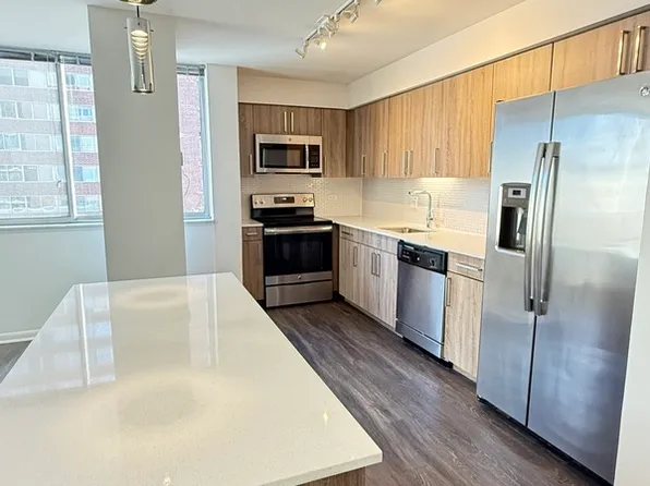 1511 S Laflin St, Chicago, IL 60608