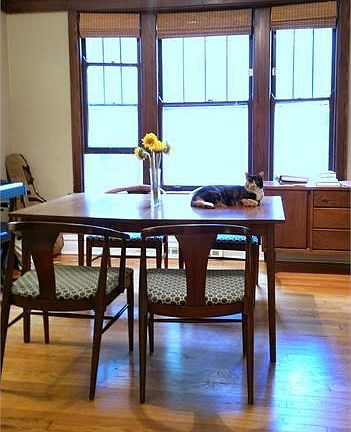 4th image of 1703 W Summerdale Ave #1