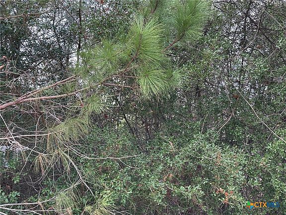2nd image of Pine Hill Loop