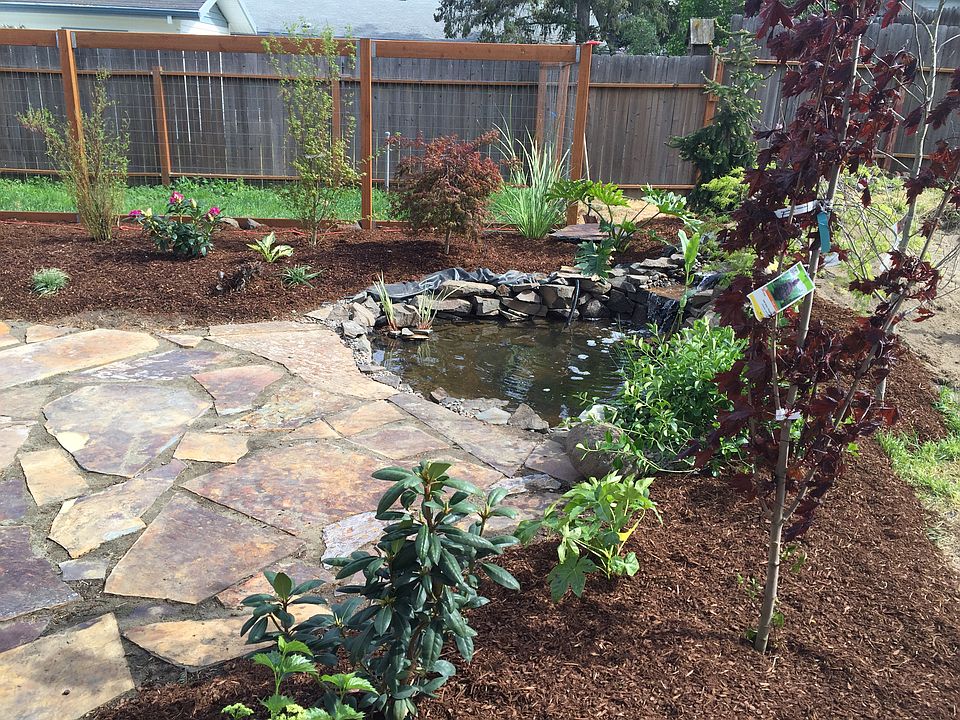 New landscaping/koi pond