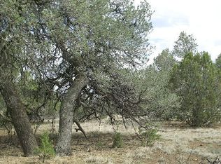 2550 E Spring Valley Rd, Williams, AZ 86046