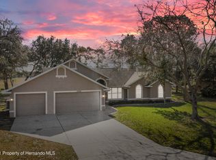 12294 Genter Dr, Spring Hill, FL 34609