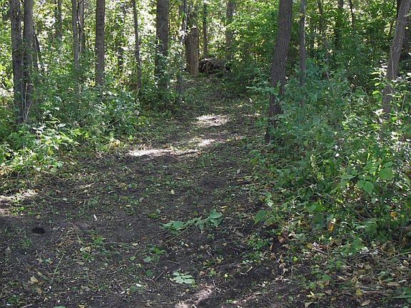3rd image of Mississippi River Lot For Sale