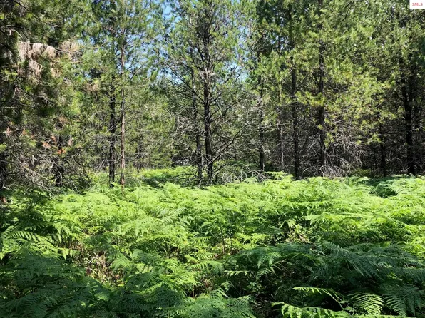 Nna Bowen Arrow Rd, Sandpoint, ID 83864