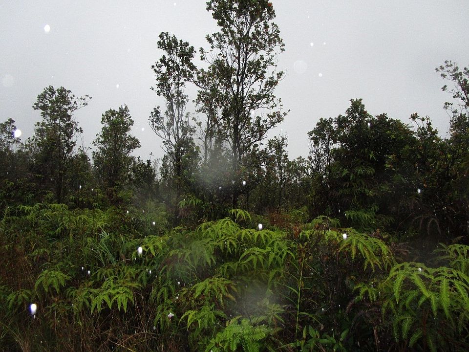 2nd image of Ohialani Rd Lot 19