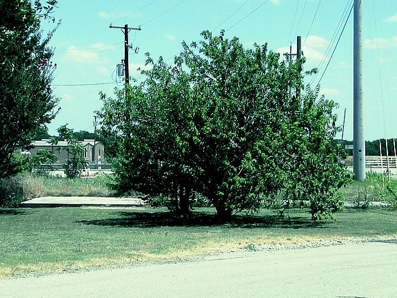3rd image of 202 Eagle Dr