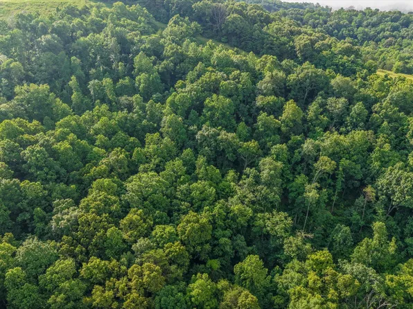 LOT 2 Graves Hollow Rd, Maynardville, TN 37807
