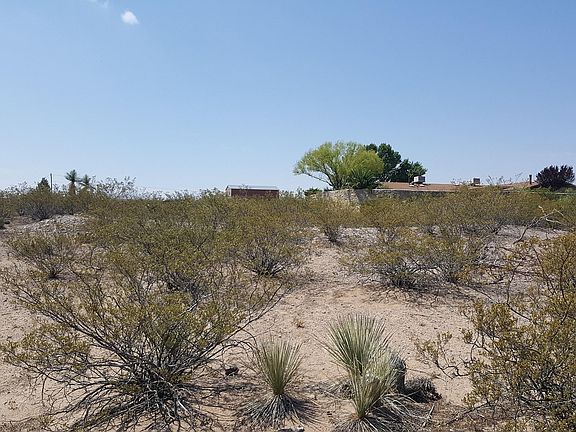 5th image of 5219 Angel Fire Pl