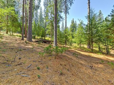 Mattell Way, Dutch Flat, CA, 95714