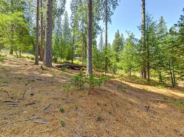 Mattell Way, Dutch Flat, CA 95714