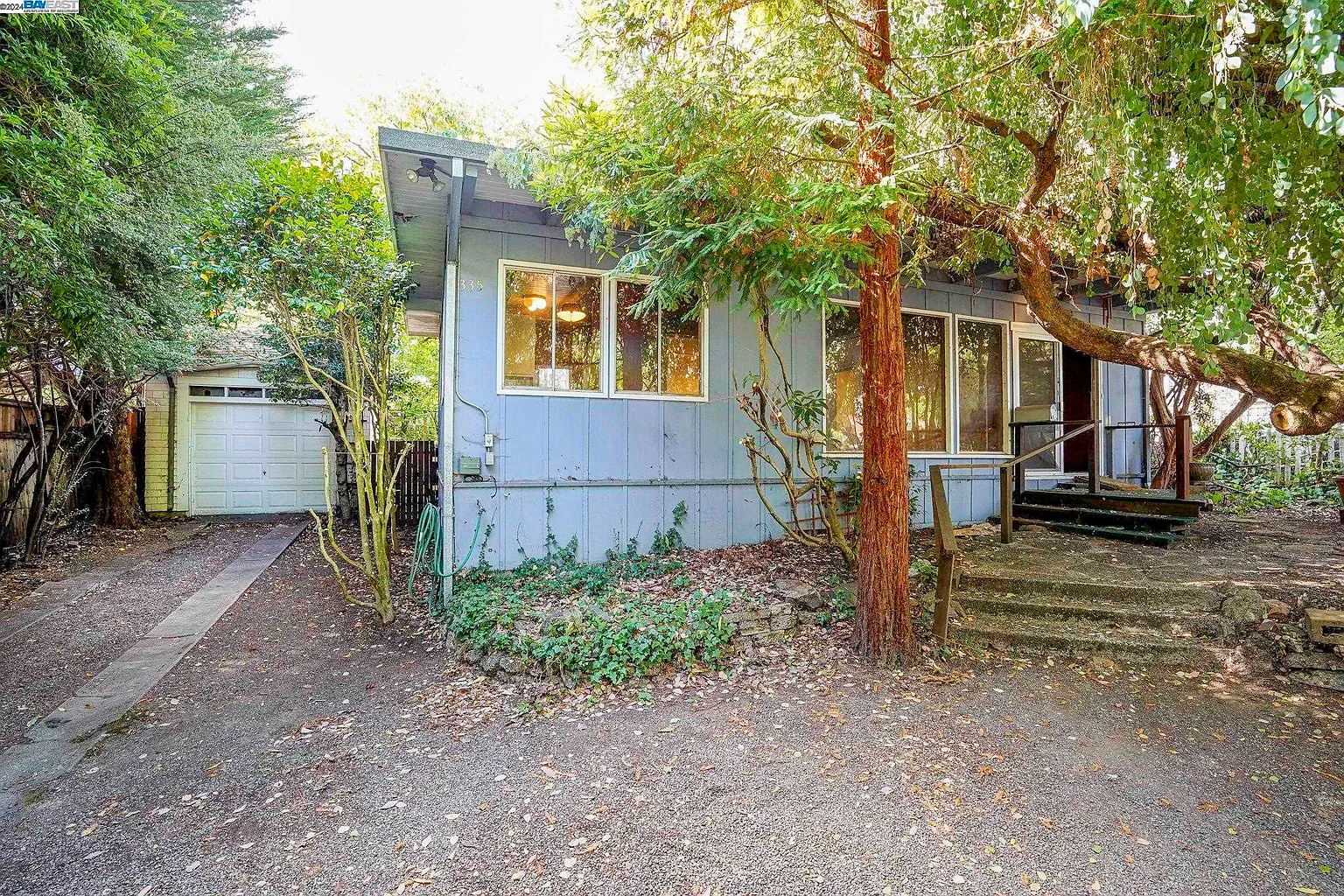 335 Redwood Ave photo 1