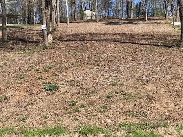 6 Piney View Dr, Spring City, TN 37381