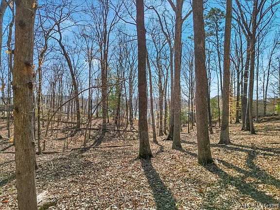 5th image of LOT-79C Tall Tree Dr