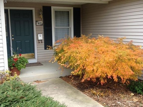5th image of 8122 Robinbrook St