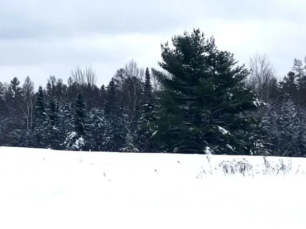 LOT 8 Bear Paw Trl, Park Falls, WI 54552