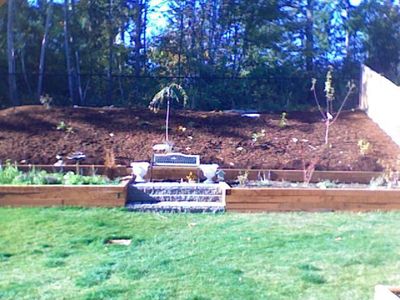 1458 Brackenridge Ave, Dupont, WA, 98327