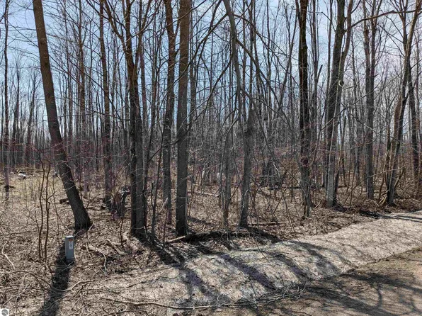 5176 Mancelona Rd Lot 5, Mancelona, MI 49659