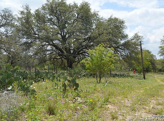 5th image of 276 County Road 6815