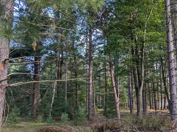 5102 Faler Dr, Prescott, MI 48756