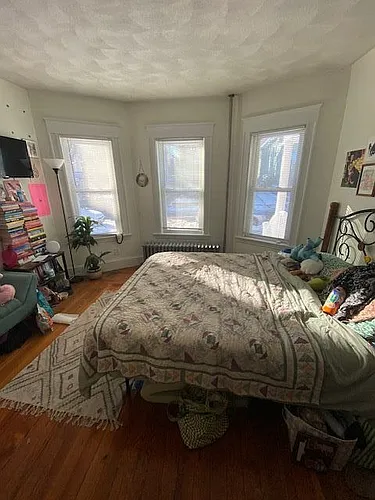 11 Albion St #1 Photo 1