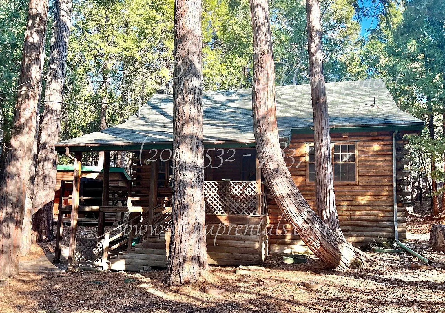 Rustic Retreat: Charming 1-Bedroom Log Cabin with Large Loft! — Photo 1
