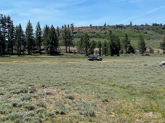 3rd image of Doyle Grade