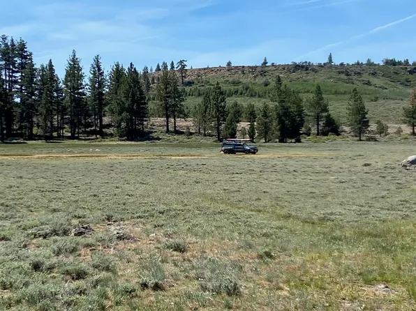 Doyle Grade, Chilcoot, CA 96105