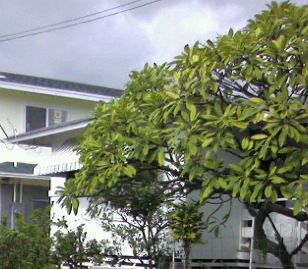 602A Kunawai Lane
