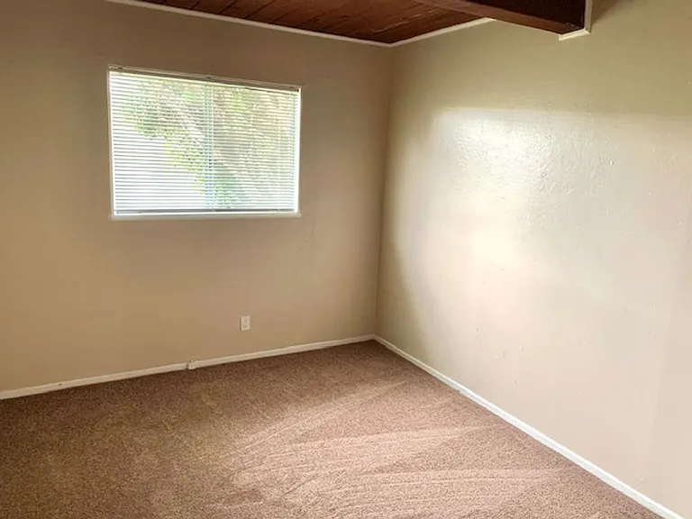 4409 Jenkins Way — Photo 13