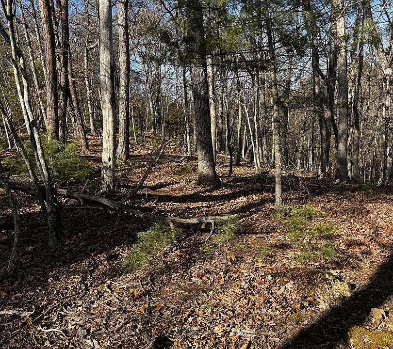 2nd image of Ewells Ridge Rd