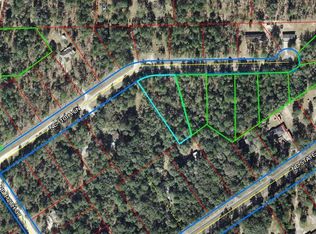 0 NE 110th Ln, Archer, FL 32618