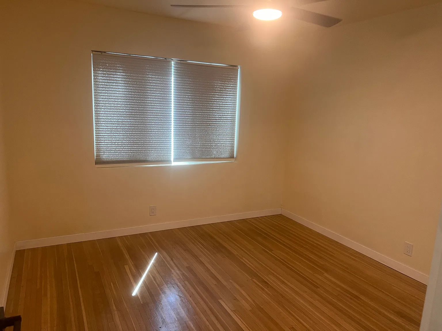 1 bed, 604 sqft, $1,995 — Photo 4