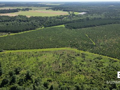 0 County Road 87, Elberta, AL, 36530