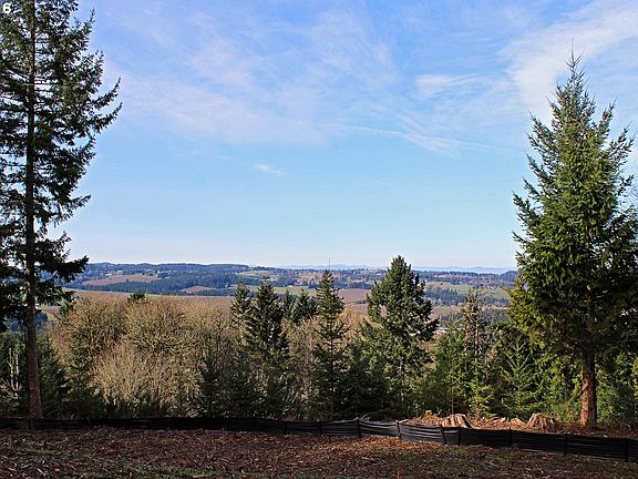 4th image of 18326 SW Salmonberry Dr