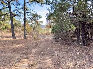 4th image of 160 Josie Ln