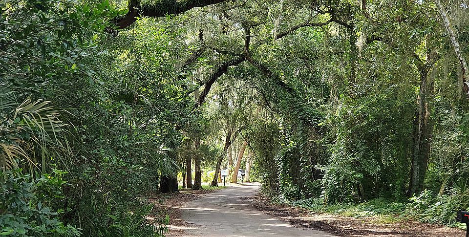 Oleander lot paved street