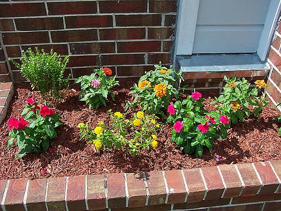 Beautiful Flowers in the built in brick planter box