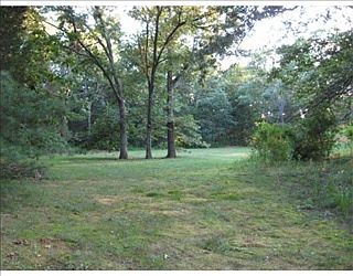 2nd image of 39 Uptack Rd
