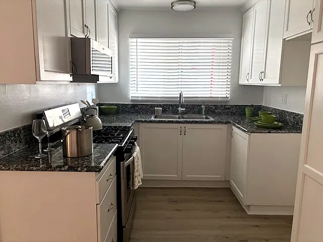 7307 Woodman 1BR 1BA — Photo 3