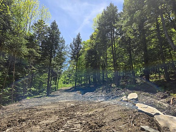 5th image of 00 VT Rte 12 Lot 2