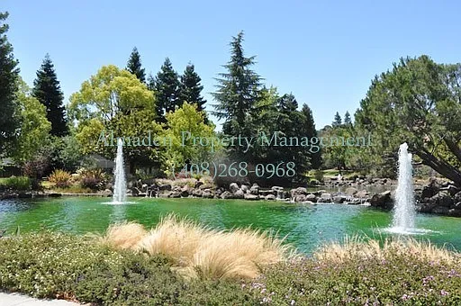 11616 Cedar Spring Ct — Photo 2